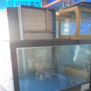 무지개해양수족관 이미지