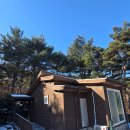 휴양림길 | 충남 천안 4인 가족여행 숙소 태학산 자연 휴양림 금낭화 내돈내산 솔직후기