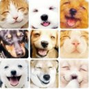 세명복권 이미지