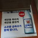 왕거미식당 | 대구 왕거미식당 내돈내산 후기