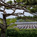 서일농장 이미지