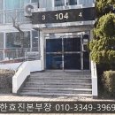 푸른특별시