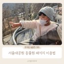 꼬마코끼리가는길 | 서울대공원 동물원 패키지 이용법 아이와 코끼리열차 리프트 후기