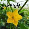 명품백화농원