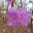 아해한의원 이미지