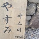야스미 스테이 이미지