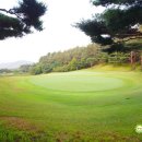 파미힐스 컨트리클럽 이미지