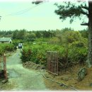 수아네 농장 이미지