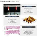 셀코 이미지