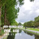 왕십리문화공원 | [서울숲] 어디가 더 좋을까? 체험학습원vs 문화예술공원 비교! 여름에는 무조건 여기!