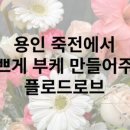 플로드로브