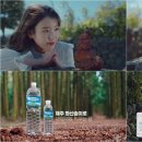 인피알 스포츠경향