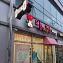 오늘DOG예쁨 이미지