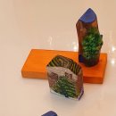 리본(Reborn) 이미지