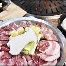 청춘고기 - 광진구 뚝섬로 502 | 청춘고기