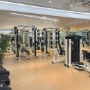 핏디렉터프라이빗PT스튜디오 네이버블로그