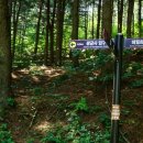 최시형 선생묘 이미지