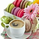 청풍초등학교 이미지