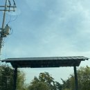 무이림3 이미지