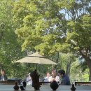 블란서 커피 | 카페) 청주 흥덕구 비하동 블란서커피 부모산 아기랑 내돈내산 솔직후기