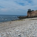 가래칠기 이미지