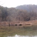 한반도면-2 이미지