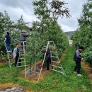 입암면사무소 이미지