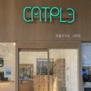 캣플코지눅 시화점 이미지