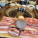 암돼지한판 이미지