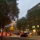 Street Circus 이미지