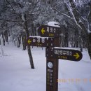 대관령 마트