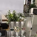 웃픈스튜디오 | [Wedding💍] #8 하남 봉스튜디오 촬영 후기(3)_스튜디오 소품