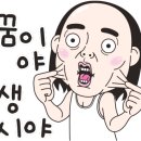 폴앤아이 네이버블로그