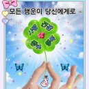 탕후루가게 이미지