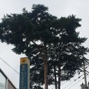 길상사 | 비오는 날의 길상사 방문후기