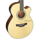 통기타(초급A) 이미지