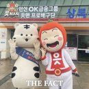 백호축구&스포츠 더팩트