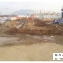 중앙초등학교  주변 이미지