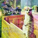 새목화미용실 | 경주 주렁주렁 실내 동물원 보문단지 가볼만한곳 할인 정보 내돈내산 후기