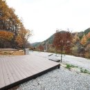 약수산채마을 이미지