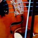 토요바이올린(오전) 이미지