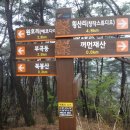 야은초등학교 이미지