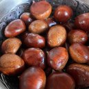 왕축농원 이미지