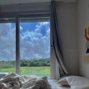 팜팜스테이 이미지