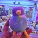 행복뽑기방 이미지