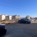 고양이 카페 여기 | <오창 관리 잘 된 고양이 카페> 오창동네고양이 후기!