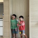 백석탄골부리캠핑장 이미지