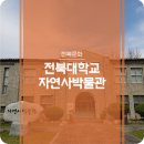 전북대학교자연사박물관 | 전북대학교 자연사박물관 - 위기에 빠진 야생동물 이야기