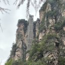 (주)스카이메드코리아 서울지점 | [장가계 셀프효도 자유여행] 회고: 나는 왜 장가계 여행이 그냥 그랬나?