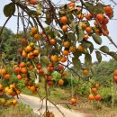 가골농장 이미지